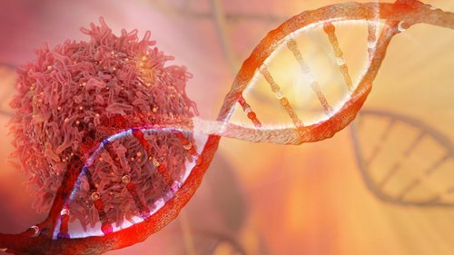 Enhance Your Search Sensitivity with AI: Off-Target Effects of BRAF Featured Image