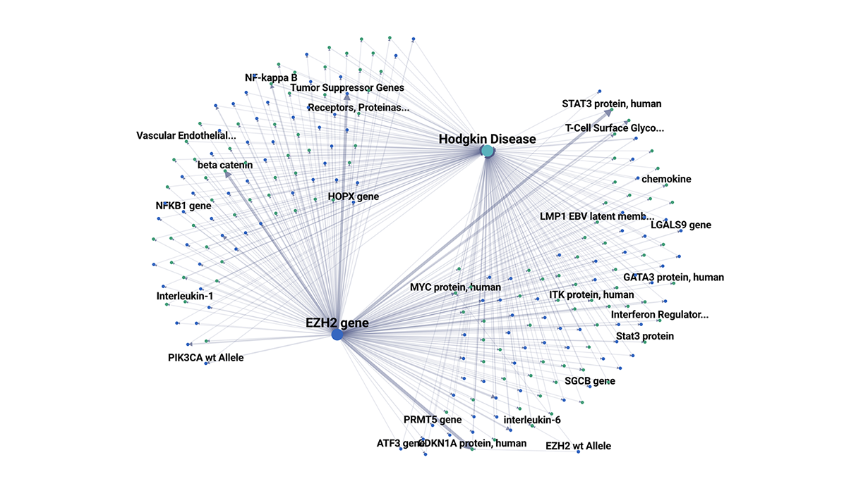 Knowledge graph based hypothesis generation